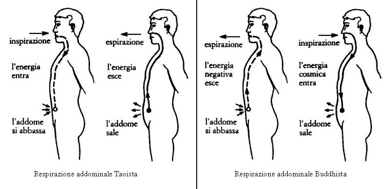 Respirazione Diaframmatica a cosa serve e come si Fa