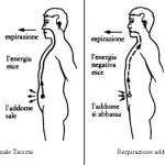Respirazione Diaframmatica a cosa serve e come si Fa