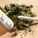 Gli impieghi della Marijuana Medica Cosa Può Curare