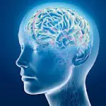 Quando è necessario Rivolgersi ad uno Psicologo